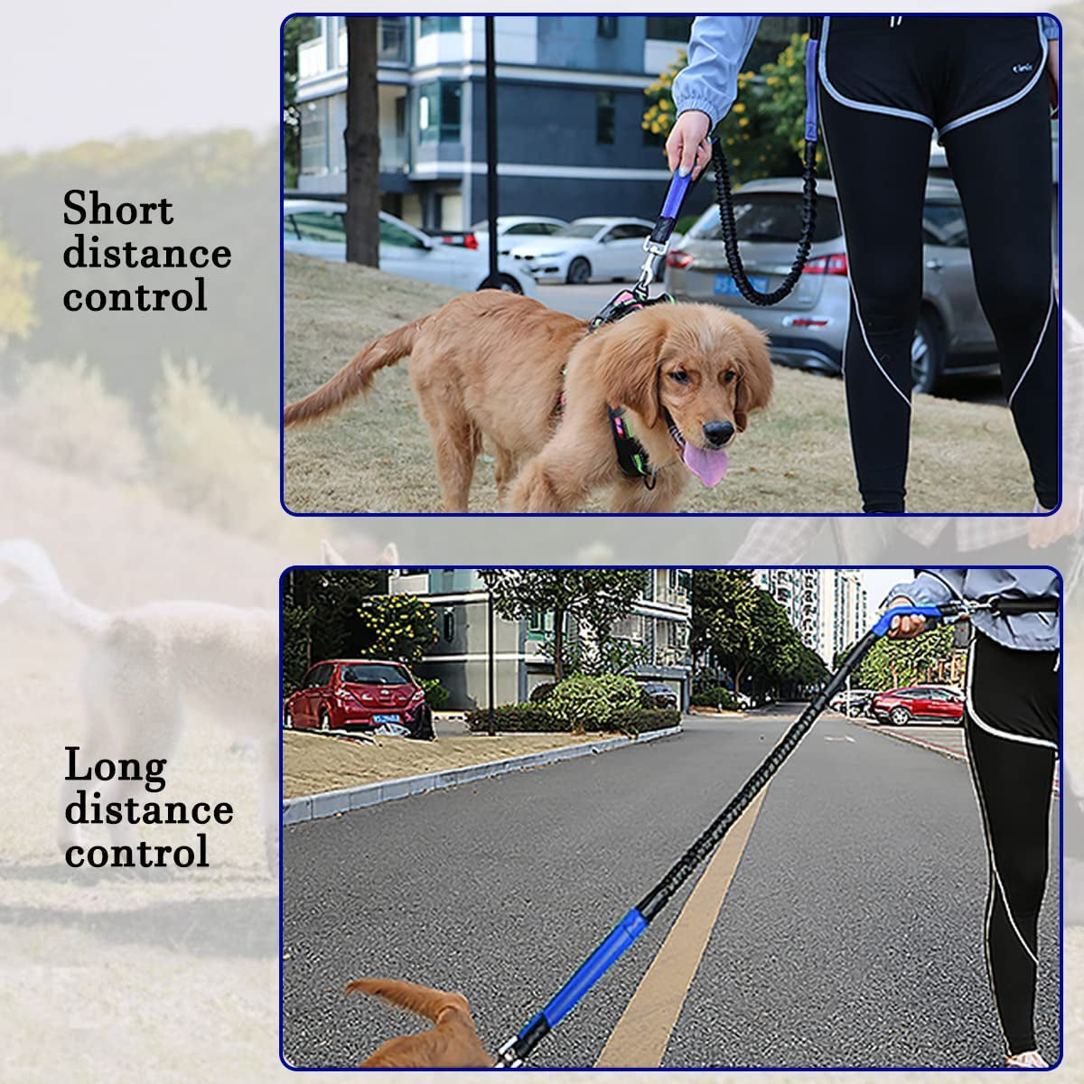 Ultimate Hands-Free Dog Leash with Zipper Pouch and Dual Padded Handles for Comfortable Walking and Jogging - Perfect for Medium to Large Dogs (Blue)